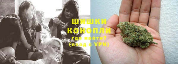 прущие грибы Козельск