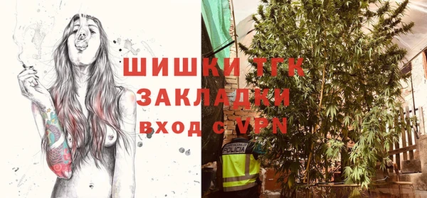 mdpv Козловка