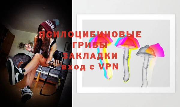 ПСИЛОЦИБИНОВЫЕ ГРИБЫ Коряжма