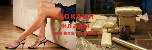 прущие грибы Козельск