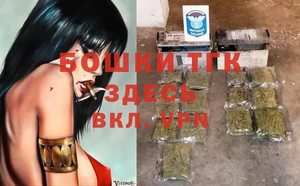прущие грибы Козельск