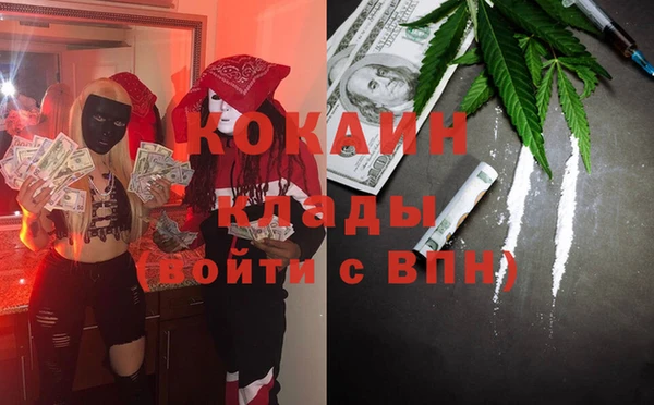 прущие грибы Козельск