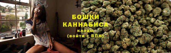 ПСИЛОЦИБИНОВЫЕ ГРИБЫ Коряжма